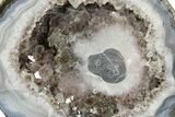 Las Choyas Coconut Geode Half with Smoky Amethyst - Mexico #373054-1